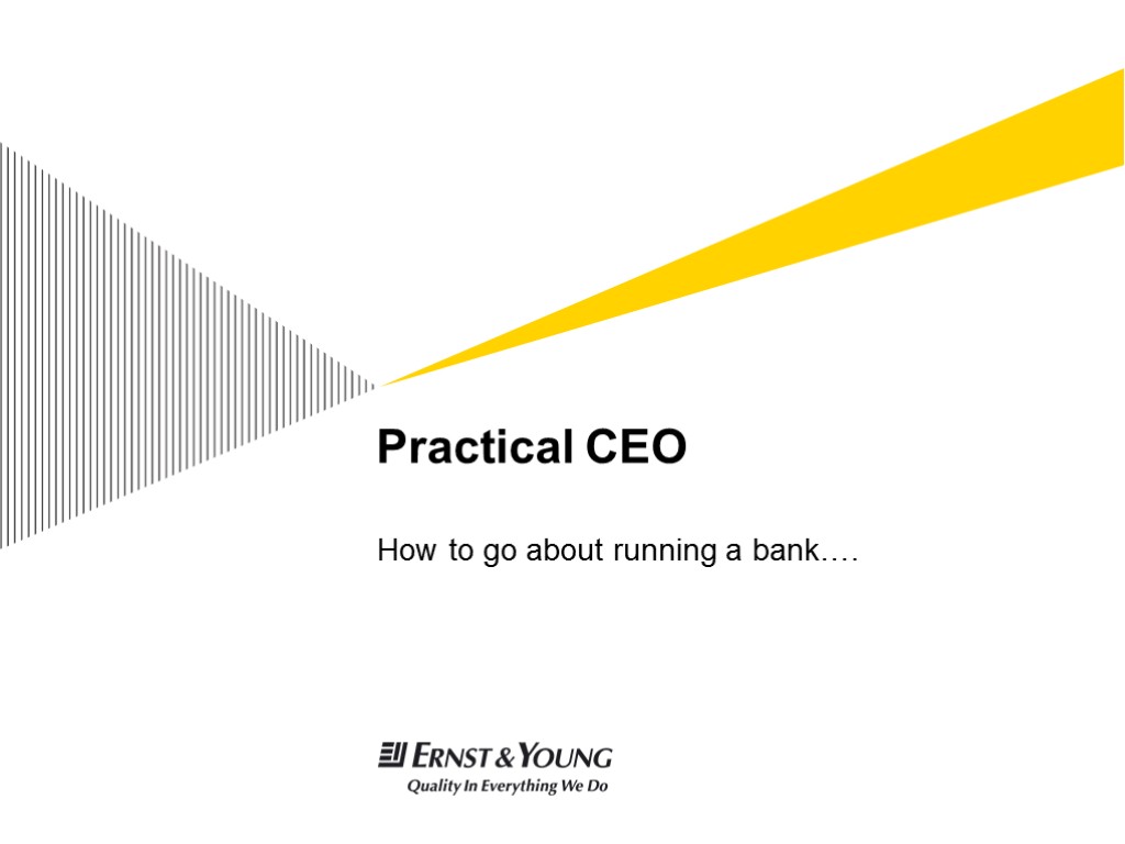 Practical CEO How to go about running a bank….